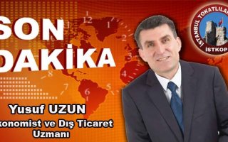 2017 GENEL EKONOMİ ANALİZİ